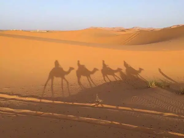 Leader Aventure tout terrain