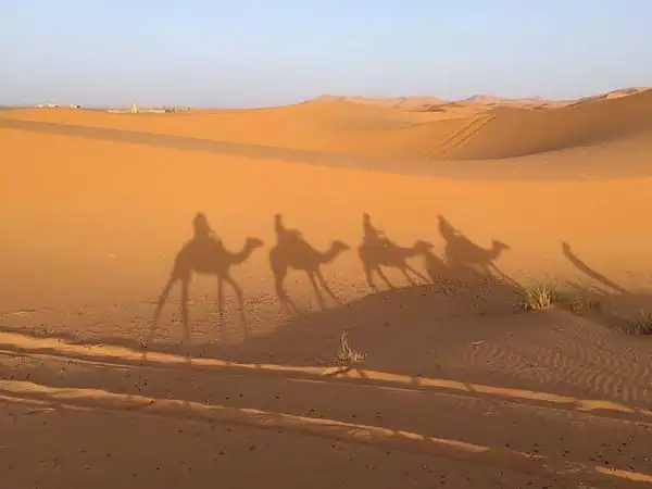 Leader Aventure tout terrain